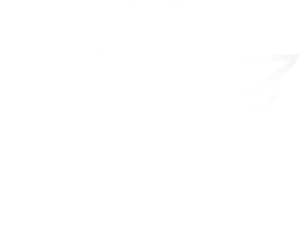 Primary Raster logo
